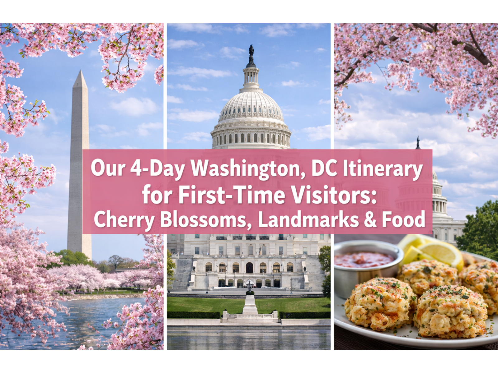 Our 4-Day Washington, DC Itinerary for First-Time Visitors: Cherry Blossoms, Landmarks & Food