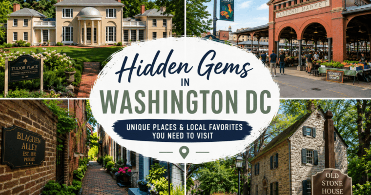 Top Hidden Gems in Washington DC You Must Visit